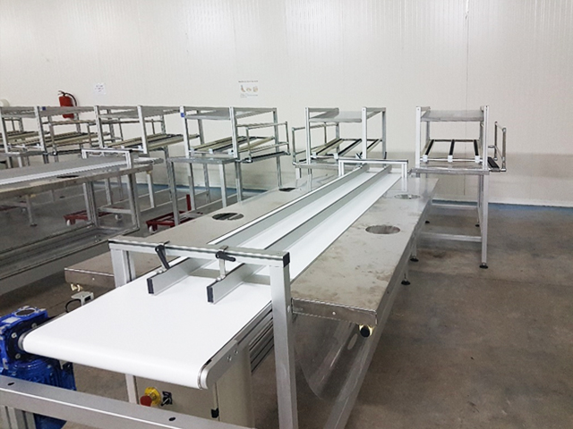 MATERIAL FLOWS  AND CONVEYORS<br />Packaging conveyor